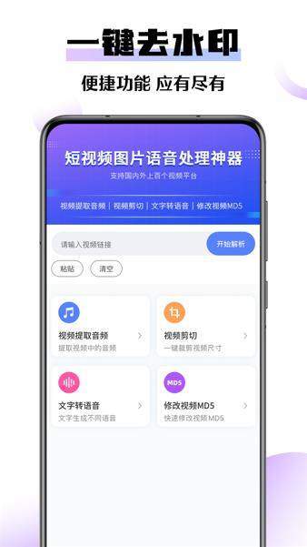 极速去水印大师